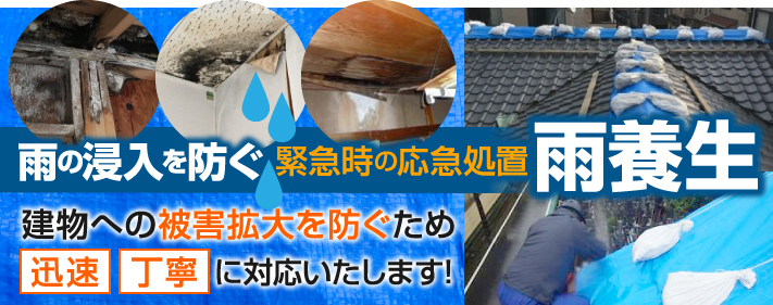 雨の浸入を防ぐ緊急時の応急処置雨養生