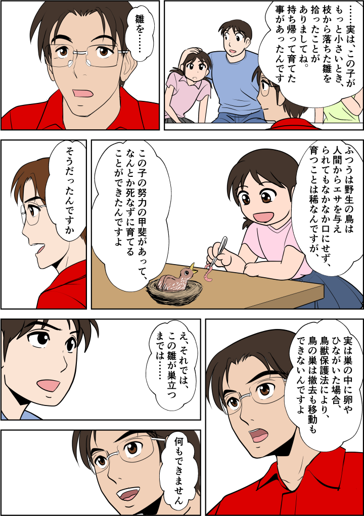 実は娘は小さい時雛を拾い育てた経験がある。鳥獣保護法により雛がいる巣は撤去ができない。