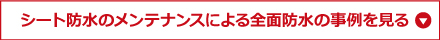 シート防水のメンテナンスによる全面防水の事例を見る