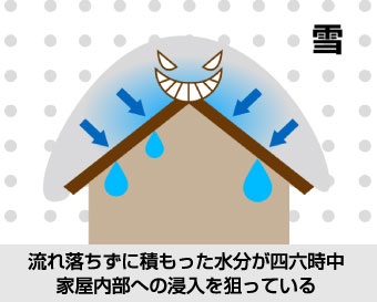 流れ落ちずに積もった水分が四六時中家屋内部への浸入を狙っている