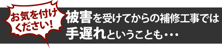 被害を受けてからの補修工事では手遅れになることもあります