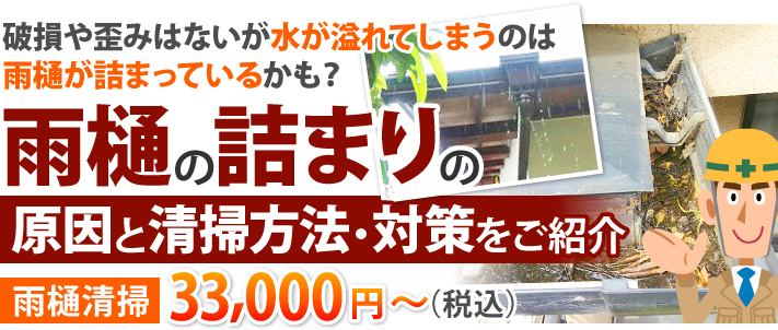 雨樋の詰まりの原因と清掃方法