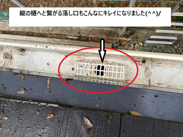 集水器周りの落ち葉を撤去して詰まりを解消