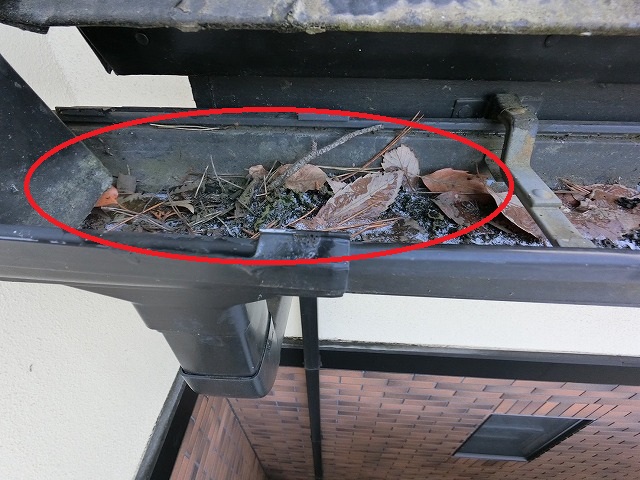 仙台市泉区　雨樋の集水器が落ち葉で詰まっている様子
