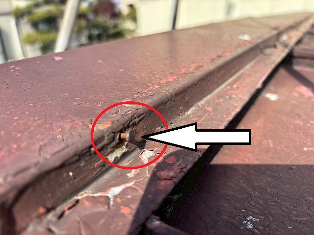 仙台市宮城野区　棟板金を固定している釘が浮いている様子