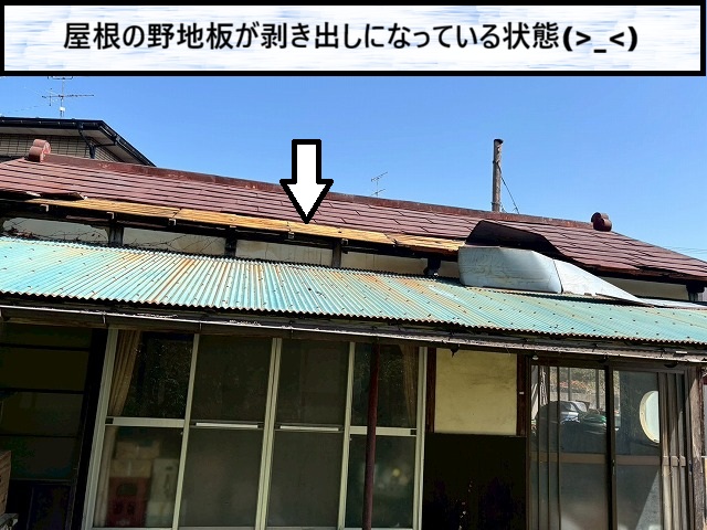 大崎市　金属屋根が飛散したことによって屋根の野地板が剥き出しになっている