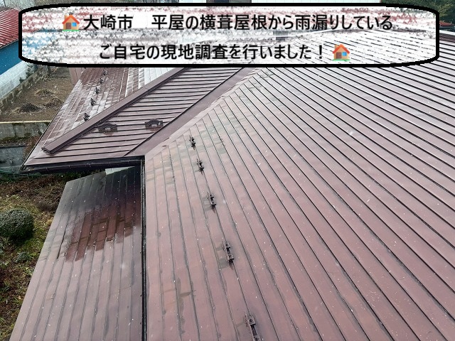 大崎市 平屋の横葺き屋根から雨漏りしているご自宅の現地調査を行いました！
