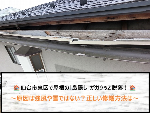 仙台市泉区で屋根の「鼻隠し」がガクッと脱落！原因は強風や雪ではない？正しい修繕方法