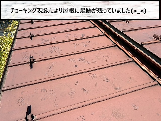 仙台市太白区　チョーキング現象により屋根に足跡が残ってしまった様子