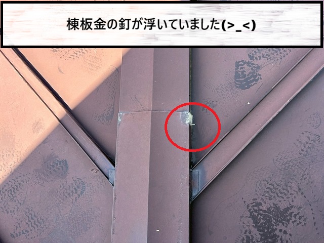 仙台市太白区　棟板金の釘が浮いている様子