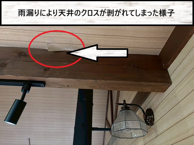 大崎市　雨漏りにより天井のクロスが剥がれている様子