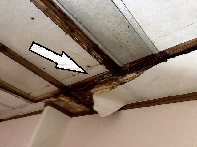 仙台市泉区　雨漏りにより室内天井のクロスが剥がれている様子