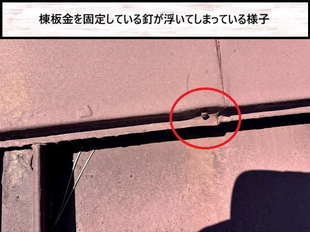 仙台市太白区　棟板金を固定している釘が浮いているため　強風の影響を受けやすい