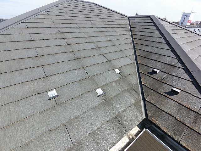 名取市　黒いシミが谷部分に目立っている様子