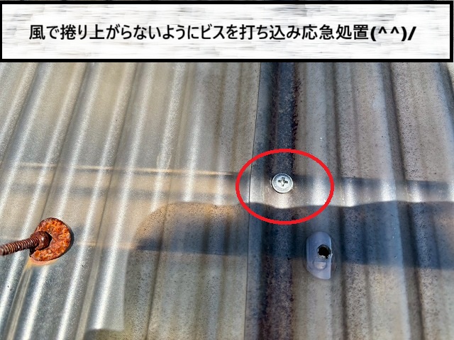 仙台市太白区　強風で捲れた波板が飛ばされないようにビスで応急処置を行った