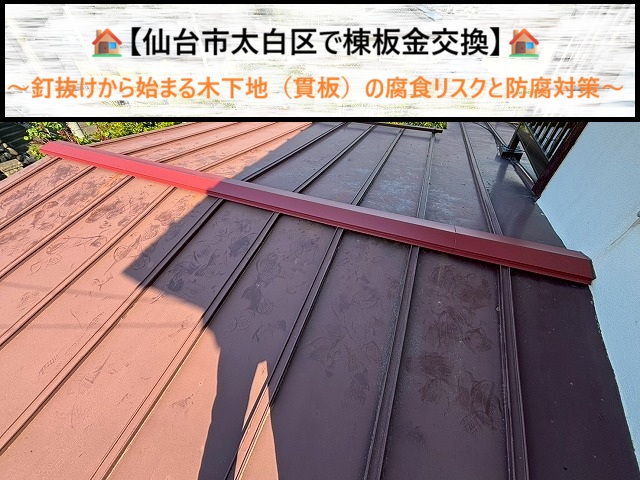【仙台市太白区で棟板金交換】釘抜けから始まる木下地（貫板）の腐食リスクと防腐対策