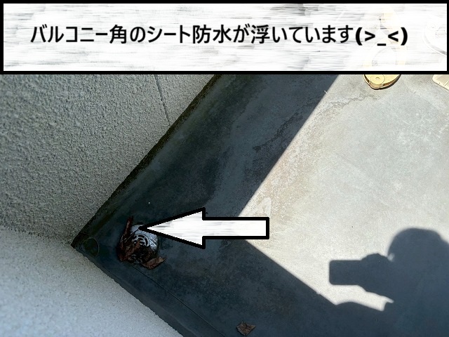 仙台市泉区　バルコニー角のシート防水が浮いてしまっている様子