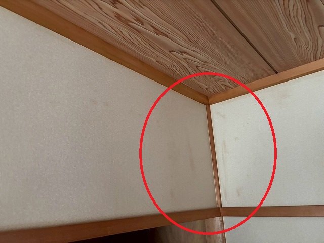 仙台市青葉区　室内の天井の角から雨水が滲み出ている跡