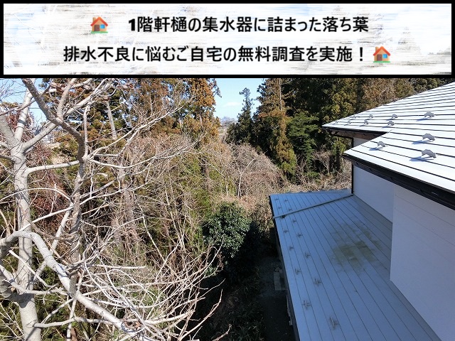太白区　1階軒樋の集水器に詰まった落ち葉　排水不良に悩むご自宅の無料調査を実施