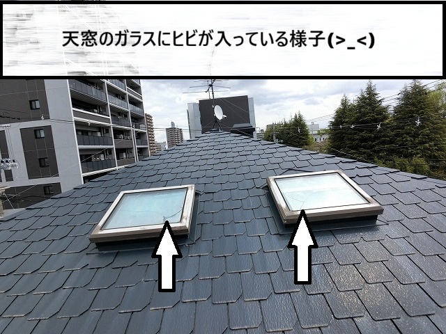 仙台市若林区　トップライトのカラスがひび割れている状態