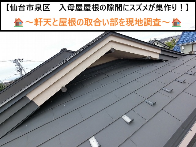 【仙台市泉区】入母屋屋根の隙間にスズメが巣作り！軒天と屋根の取合い部を現地調査