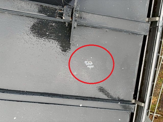 仙台市青葉区　2階の屋根の軒先に穴が空いている様子