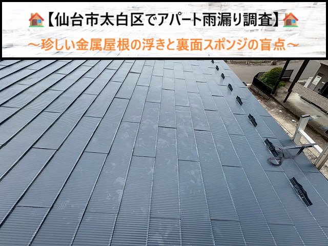 仙台市太白区でアパート雨漏り調査！珍しい金属屋根の浮きと裏面スポンジの盲点