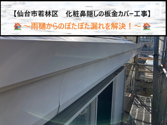 仙台市若林区　雨樋からのぽたぽた漏れを解決！化粧鼻隠しの板金カバー工事