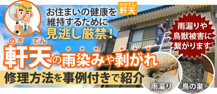 軒天井工事