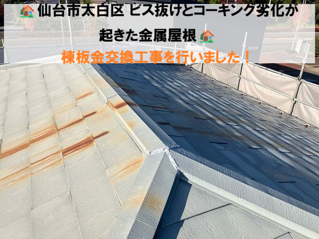 仙台市太白区 ビス抜けとコーキング劣化が起きた金属屋根 棟板金交換工事を行いました！
