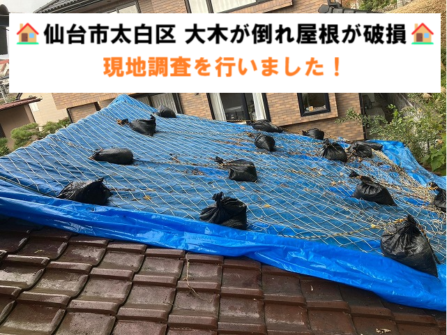 仙台市太白区 「大木が倒れ屋根が破損した」現地調査で大量に瓦が割れているのを確認！