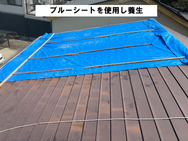 仙台市太白区 強風で捲れ上がった金属屋根 ブルーシート養生