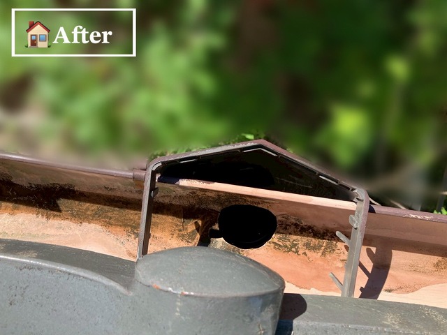 仙台市太白区-瓦屋根-雨樋清掃