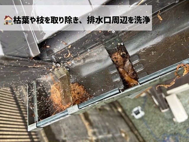 仙台市太白区-雨樋清掃-現地調査