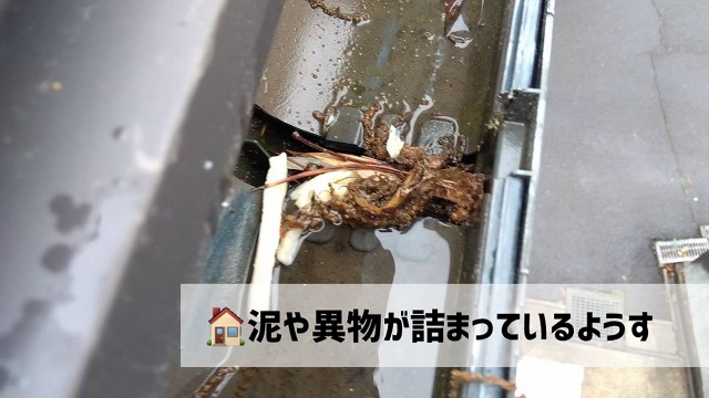仙台市太白区-雨樋清掃-現地調査