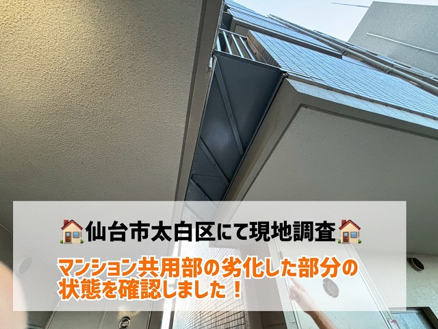 【仙台市太白区】マンション共用部の現地調査 通路や排水設備の劣化状態を確認しました！