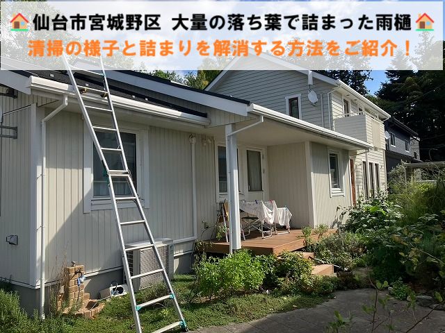 仙台市宮城野区 大量の落ち葉で詰まった雨樋を清掃 詰まりを解消する方法をご紹介！