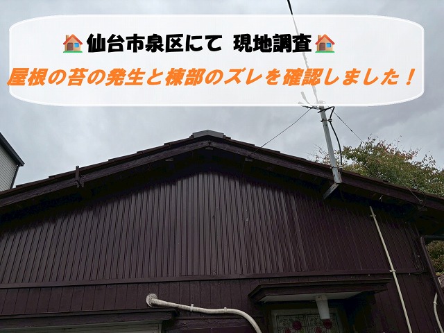 【仙台市泉区】苔の発生と棟部のズレを確認！屋根の現地調査に伺いました！