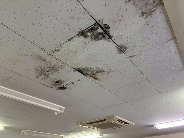 仙台市若林区 倉庫 雨漏り調査 室内天井にカビが発生