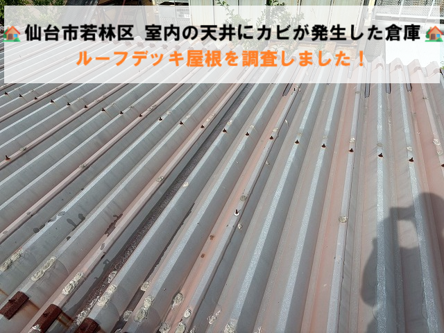 仙台市若林区 室内の天井にカビが発生した倉庫 ルーフデッキ屋根を調査しました！