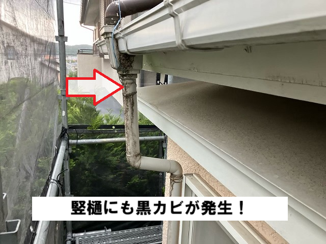 仙台市青葉区 雨樋交換 竪樋に黒カビが発生