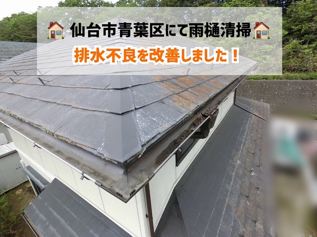 仙台市青葉区にて落ち葉で詰まった雨樋の清掃を行い、排水不良を改善しました！