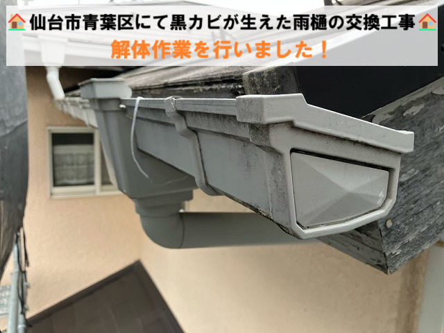 仙台市青葉区にて黒カビが生えた雨樋の交換工事 解体作業を行いました！