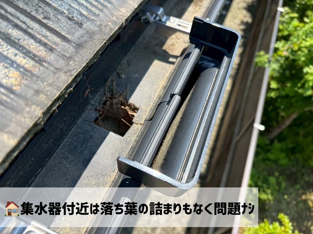 名取市 雨樋 定期点検 集水器の点検