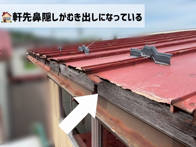 大崎市-瓦棒屋根-現地調査-軒先鼻隠しがむき出し