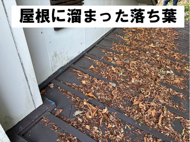 屋根に溜まった落ち葉