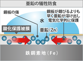 亜鉛の犠牲防食とは、鋼板が錆びるよりも早く亜鉛が溶け出し、電気化学的に保護します