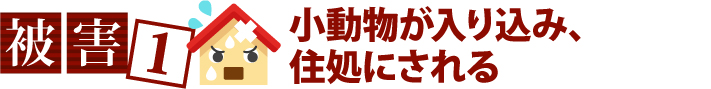 被害1、小動物が入り込み、住処にされる