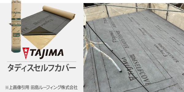 タディスセルフカバー