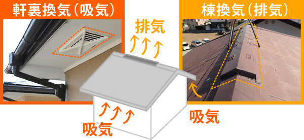 軒裏換気（吸気）と棟換気（排気）の吸気と排気経路